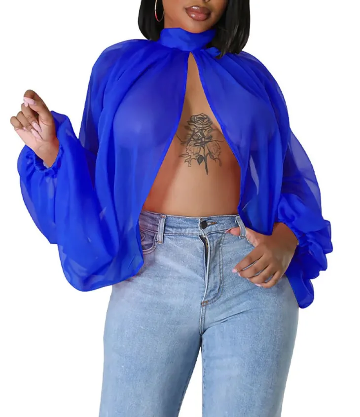 Bat Long Sleeve Chiffon Blouse