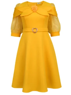 Bow Tie Lantern Sleeve A-Line Dress