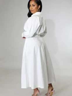 Long Sleeve Solid Color Bodycon Maxi Dress