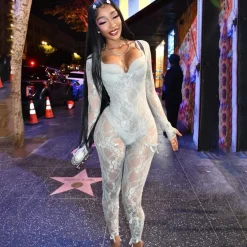 Mesh Long Sleeve Bodycon Jumpsuit