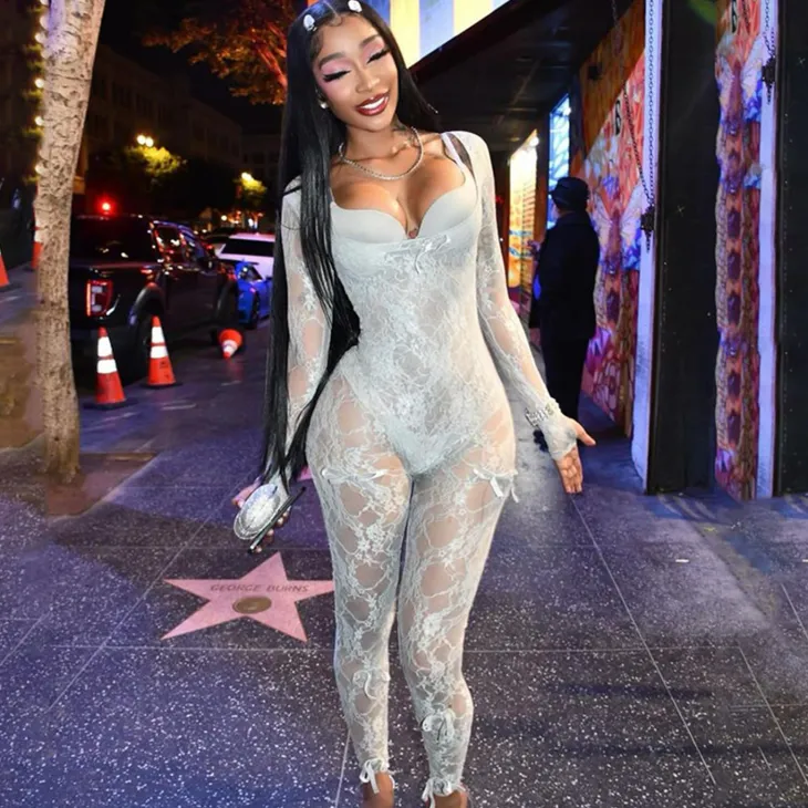 Mesh Long Sleeve Bodycon Jumpsuit