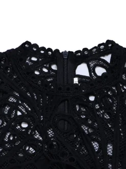 Plus Size Lace Hollow Out Pleated Dress
